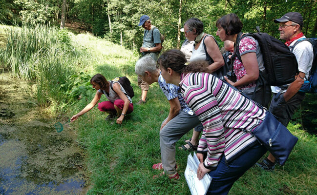 Natur- und Umweltführungen im Hütter Wohld